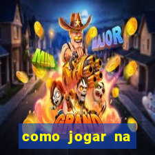 como jogar na teimosinha da lotofacil