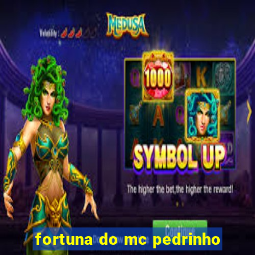 fortuna do mc pedrinho