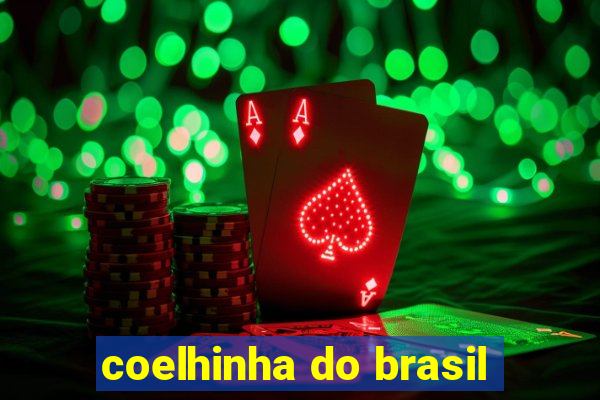 coelhinha do brasil