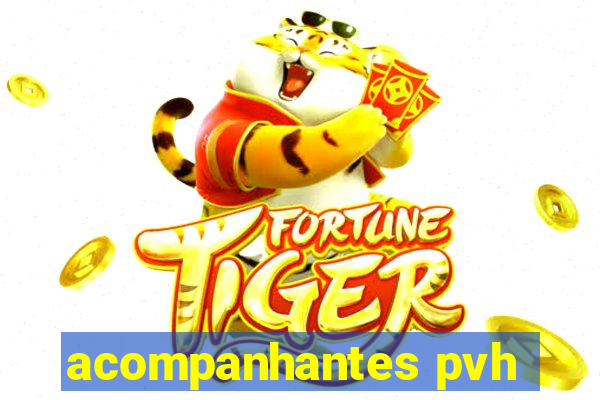 acompanhantes pvh