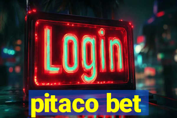 pitaco bet