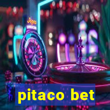 pitaco bet