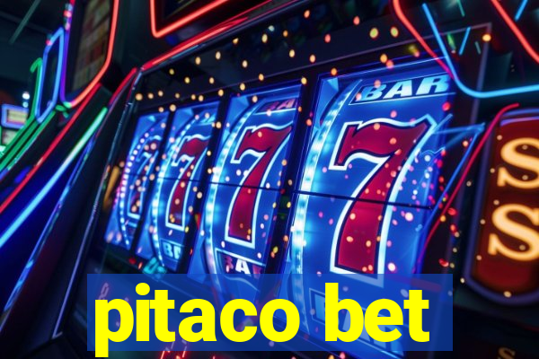 pitaco bet