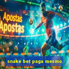 snake bet paga mesmo