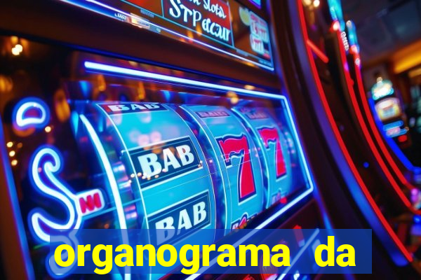 organograma da cacau show