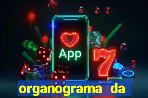 organograma da cacau show