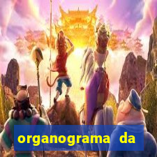 organograma da cacau show