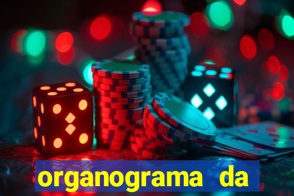 organograma da cacau show