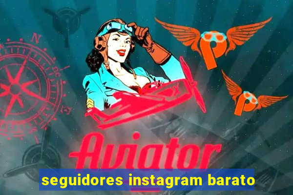 seguidores instagram barato