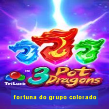 fortuna do grupo colorado