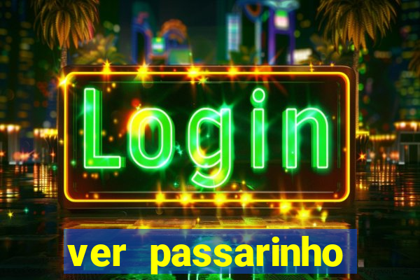 ver passarinho morto significado