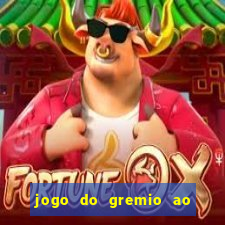 jogo do gremio ao vivo hd