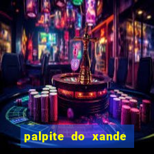 palpite do xande de hoje