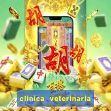 clinica veterinaria cuidar betim