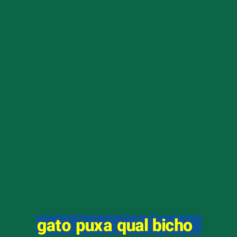 gato puxa qual bicho