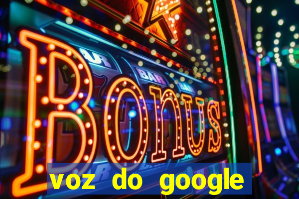 voz do google tradutor homem