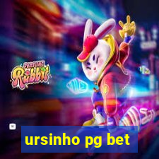 ursinho pg bet