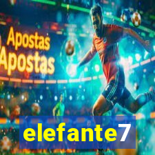 elefante7