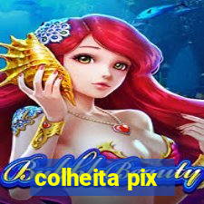 colheita pix