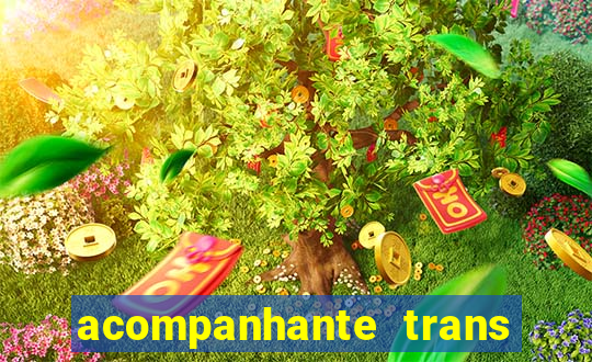 acompanhante trans santos sp