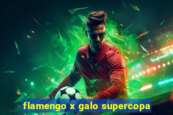 flamengo x galo supercopa