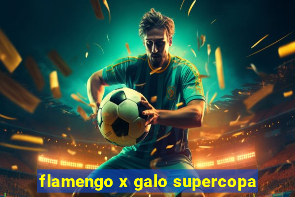 flamengo x galo supercopa