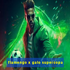 flamengo x galo supercopa