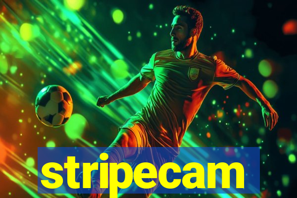 stripecam