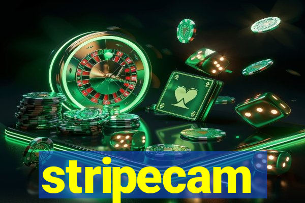 stripecam