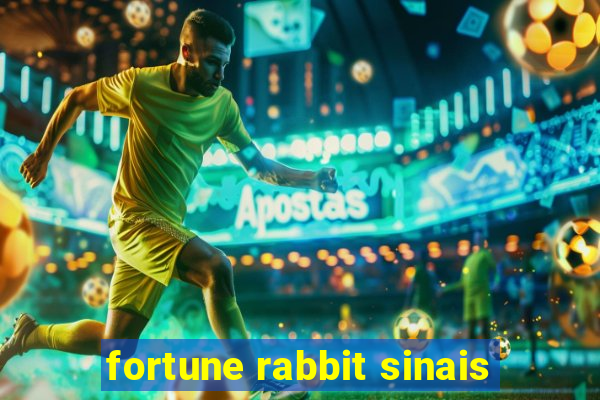 fortune rabbit sinais