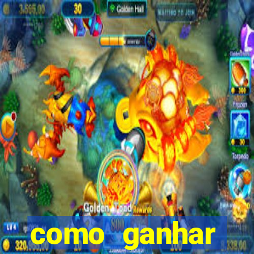 como ganhar dinheiro no jogo do bicho todos os dias