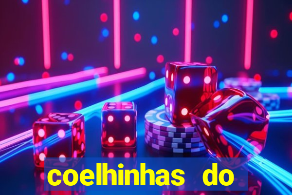 coelhinhas do brasil acompanhantes