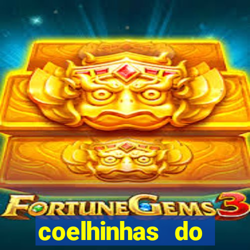 coelhinhas do brasil acompanhantes