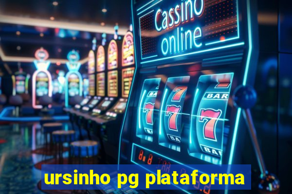 ursinho pg plataforma