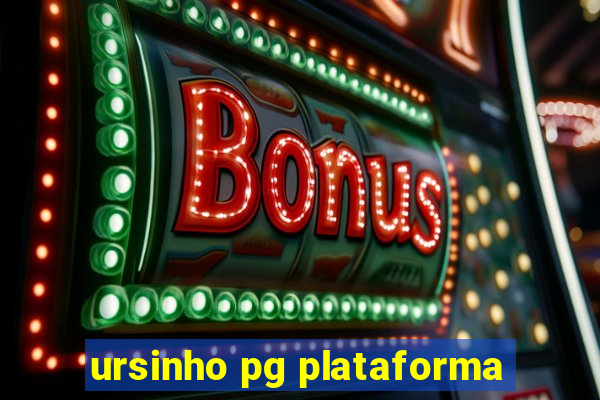 ursinho pg plataforma