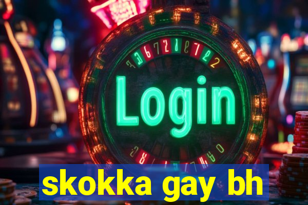 skokka gay bh