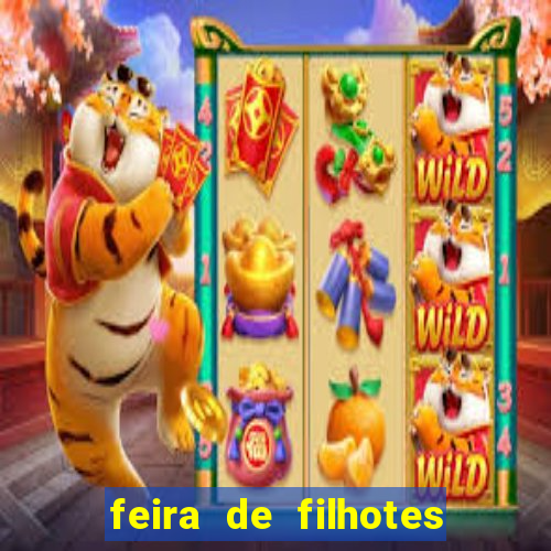 feira de filhotes porto alegre