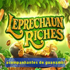 acompanhantes de guanambi