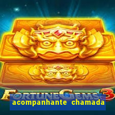 acompanhante chamada de video