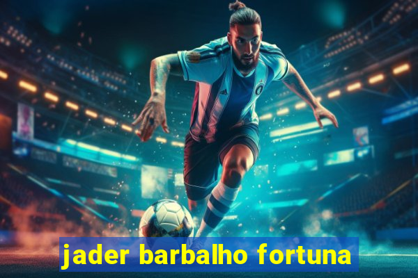 jader barbalho fortuna