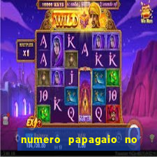 numero papagaio no jogo do bicho