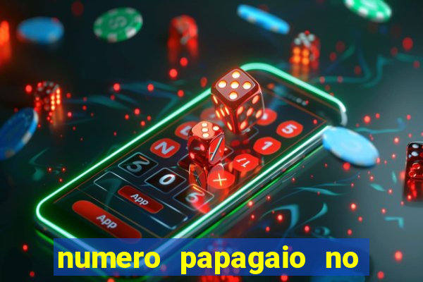 numero papagaio no jogo do bicho