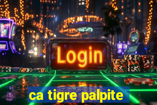 ca tigre palpite