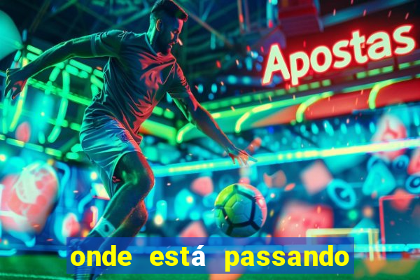 onde está passando o jogo do brasil