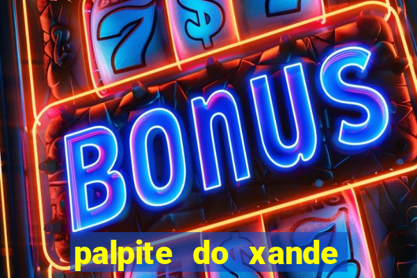 palpite do xande para hoje