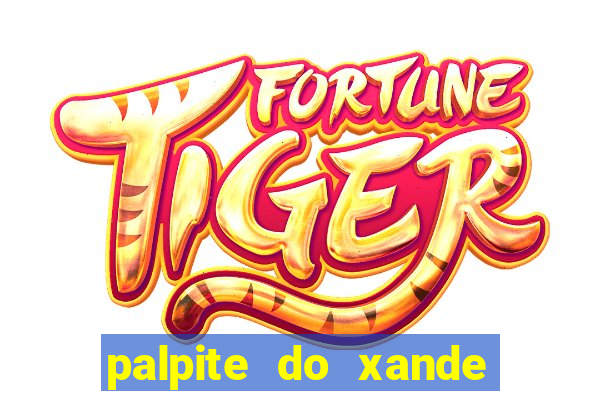 palpite do xande para hoje