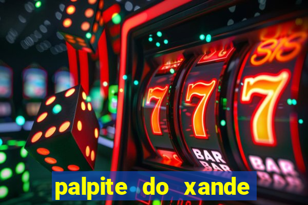 palpite do xande para hoje