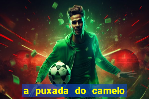 a puxada do camelo no jogo do bicho