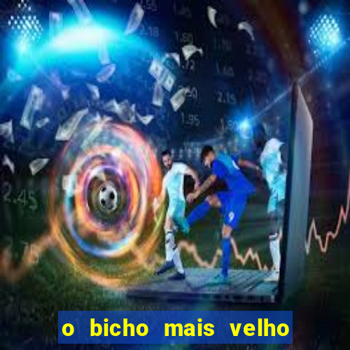 o bicho mais velho da loteria dos sonhos