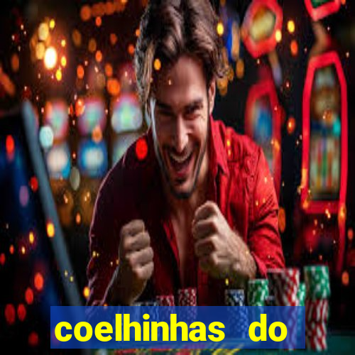 coelhinhas do brasil jp